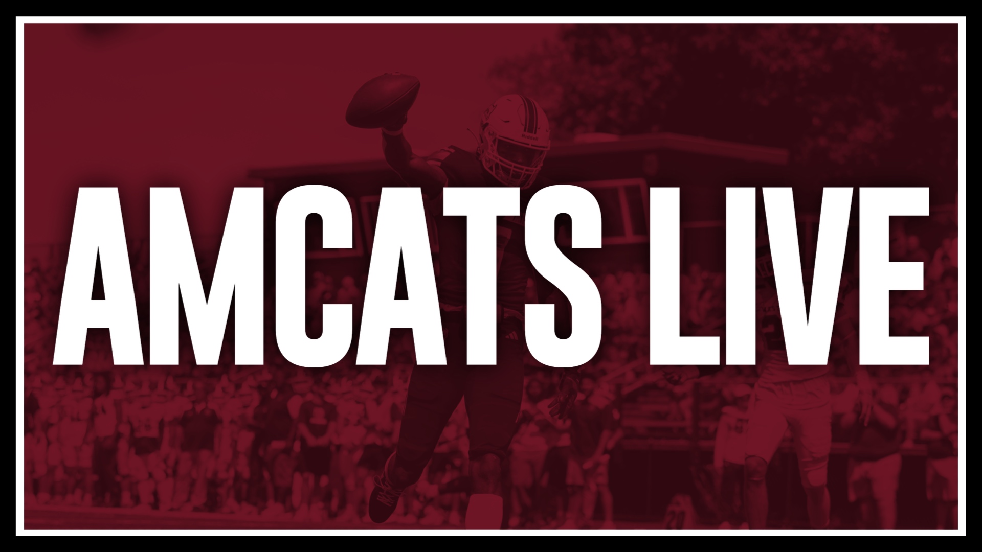AMCATS LIVE