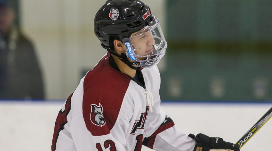 Men's Hockey Penalties Lead to Loss versus Wilkes