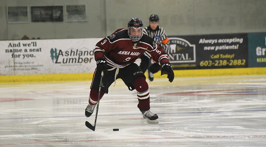 Men&rsquo;s Hockey Downed by Plymouth