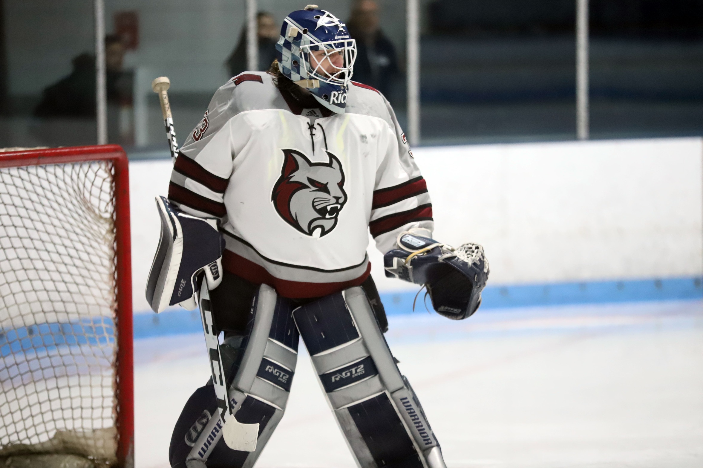 Men&rsquo;s Hockey Caught In A Cat Fight Tied Up At 3