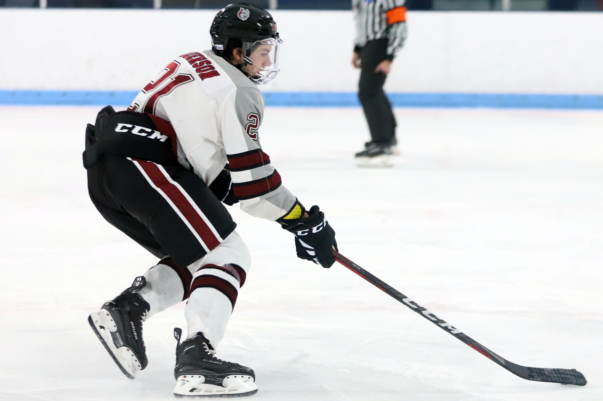 Huskies Too Much For Men&rsquo;s Ice Hockey