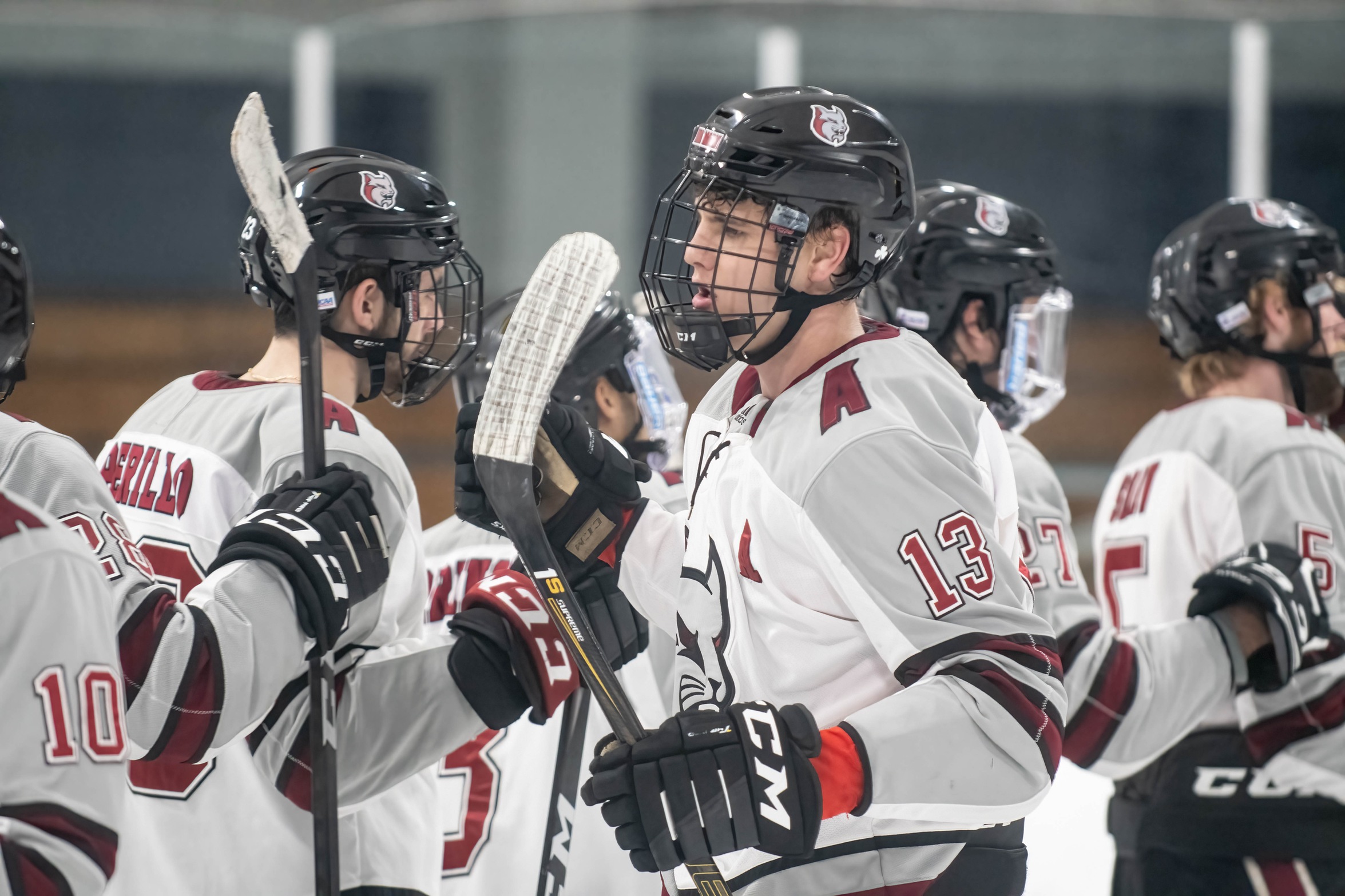 Men&rsquo;s Hockey Closes Out The Season With Tie Against St. Anselm 3-3
