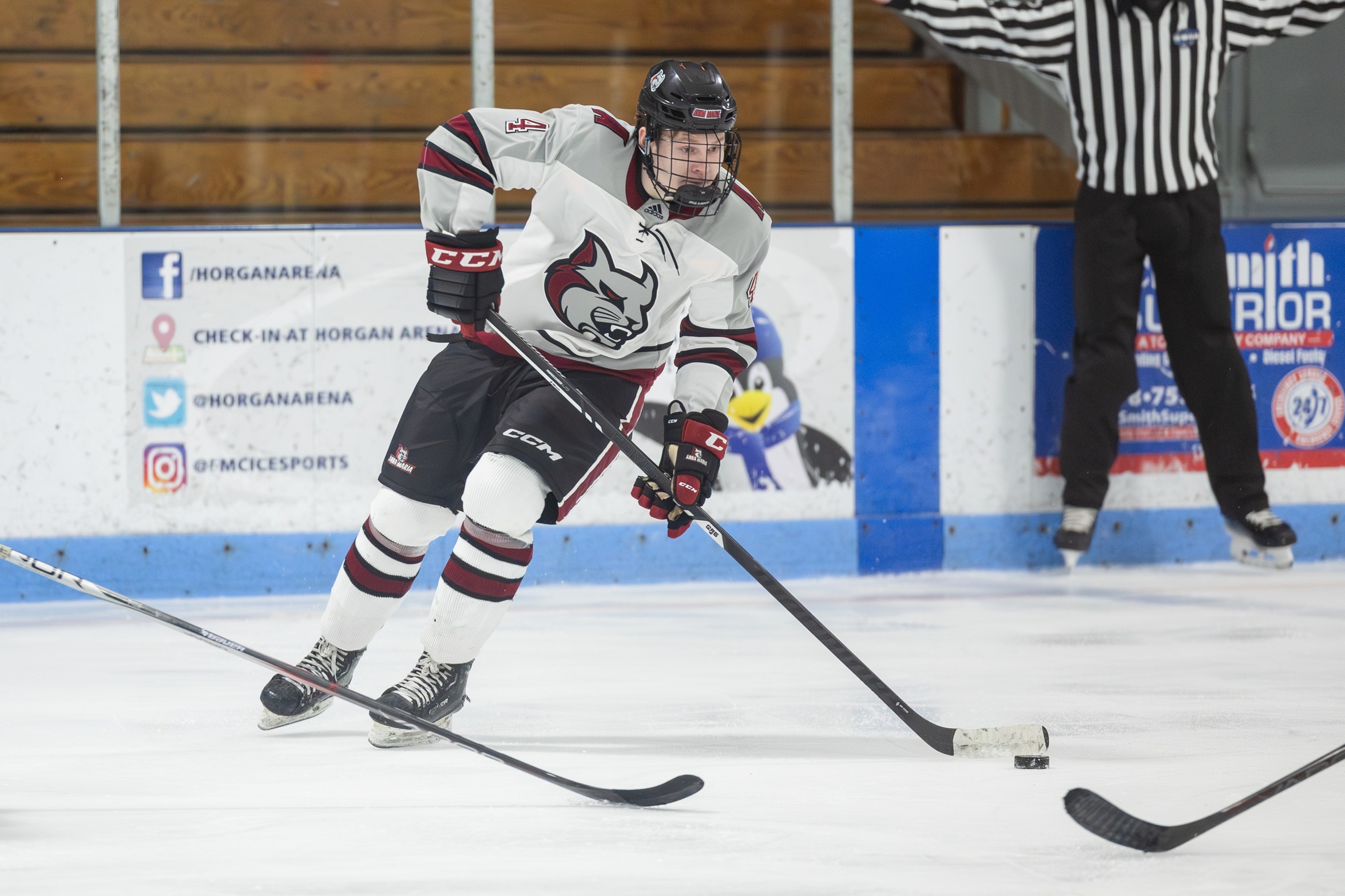 Men's Hockey Handles Raiders At Home