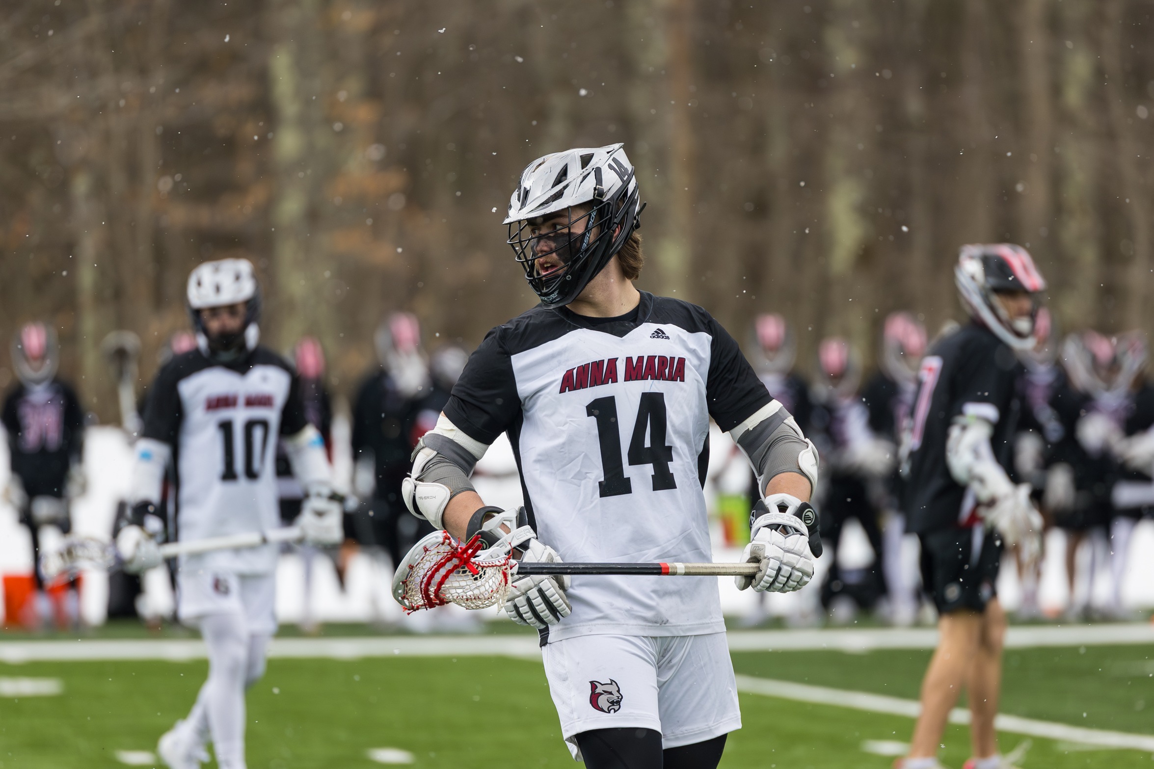 Men's Lacrosse Falls Short in 14-13 Loss To Vikings