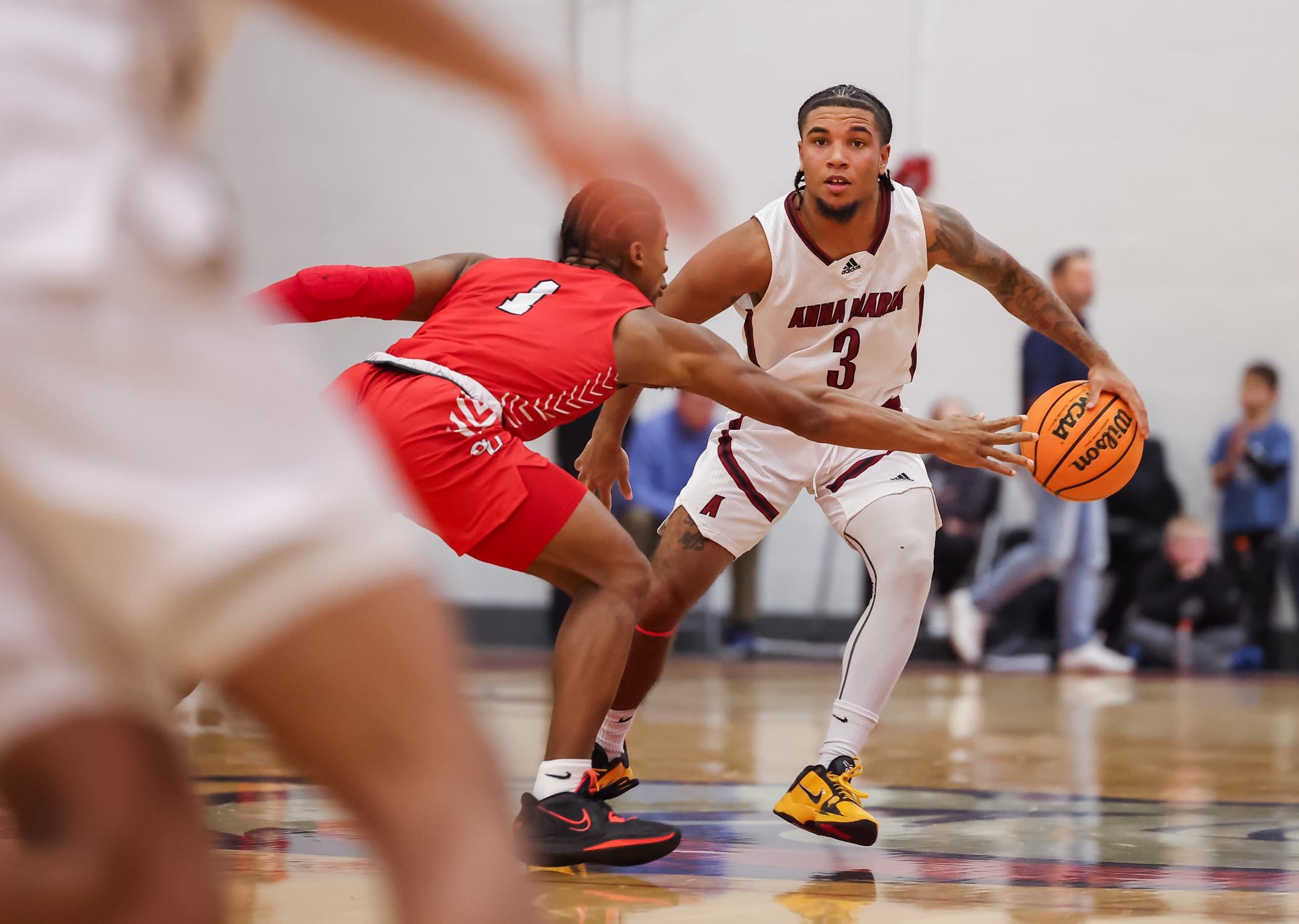 Owls Fly Past Men's Basketball In Second Half