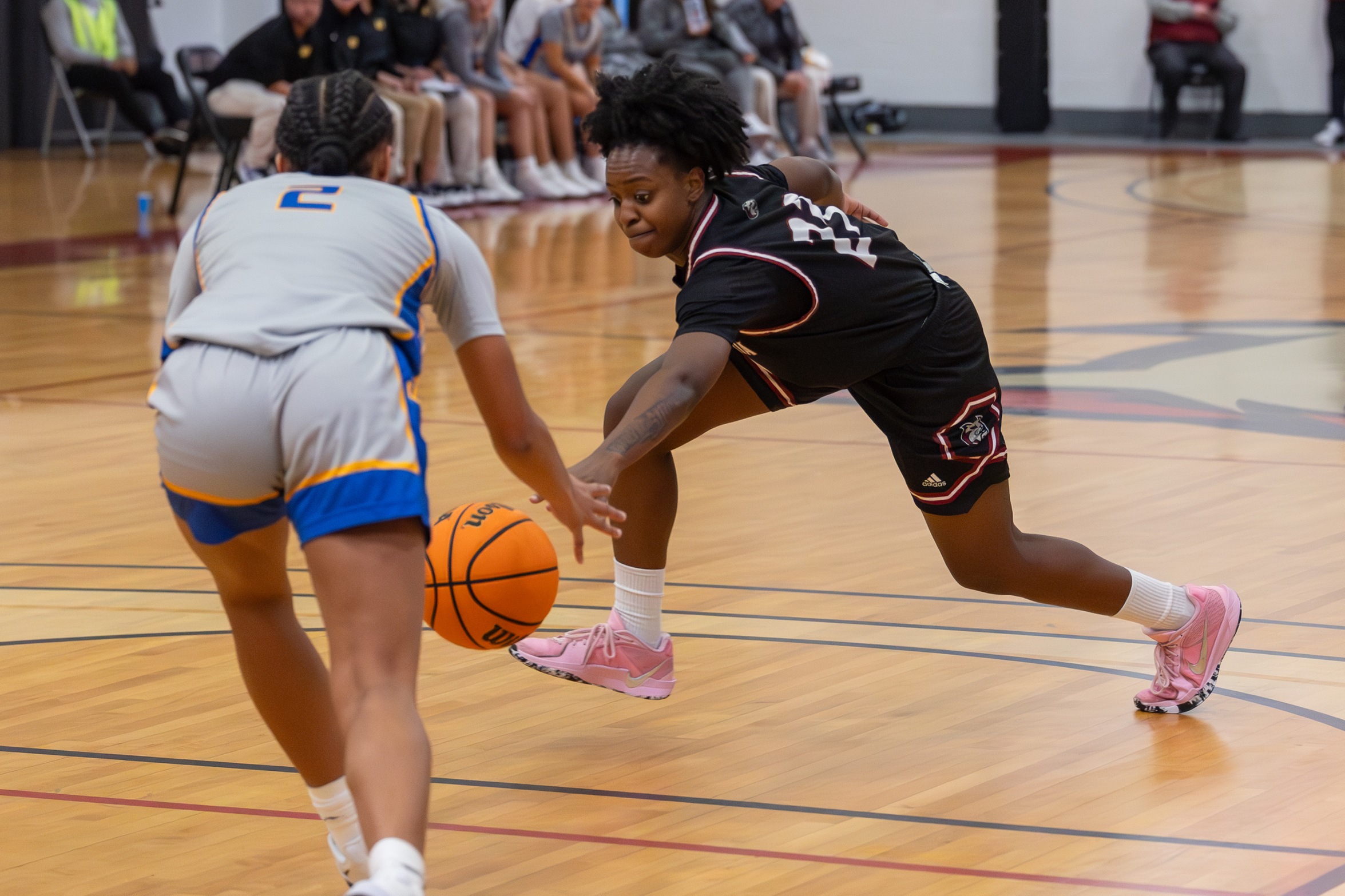 Women's Basketball Fights Until The End In GNAC Quarterfinals Against Albertus Magnus