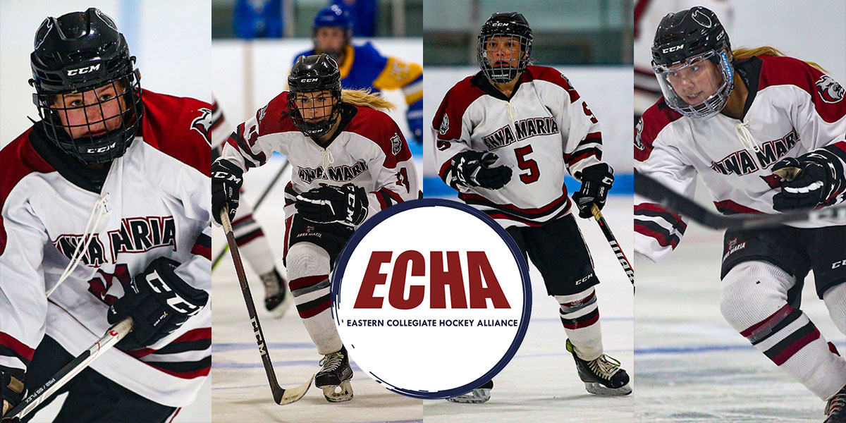All-ECHA