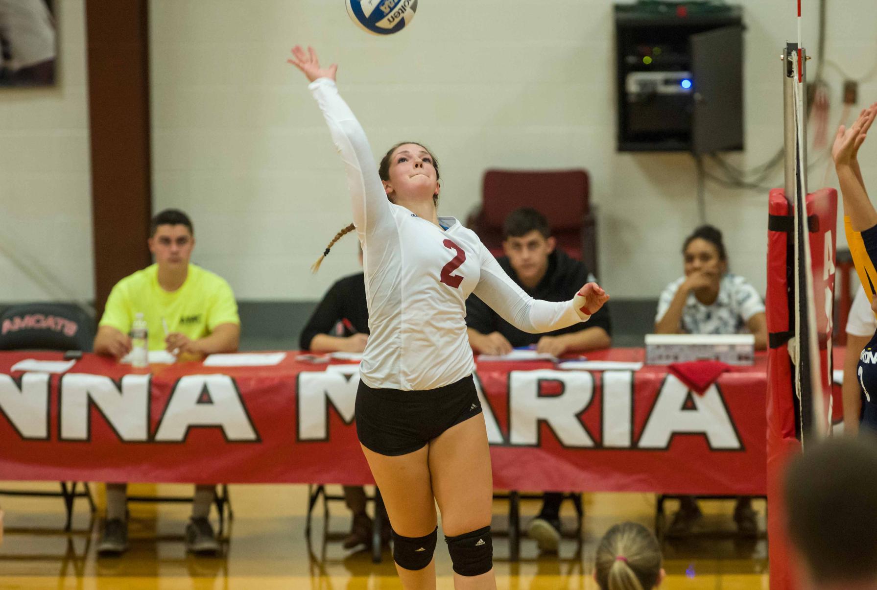 Saints Sweep AMCATS, 3-0
