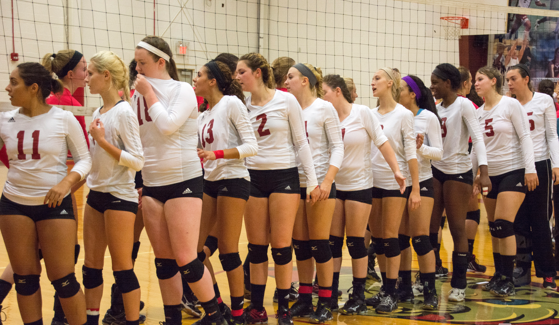 AMCATS Fall 3-0 in ECAC First Round