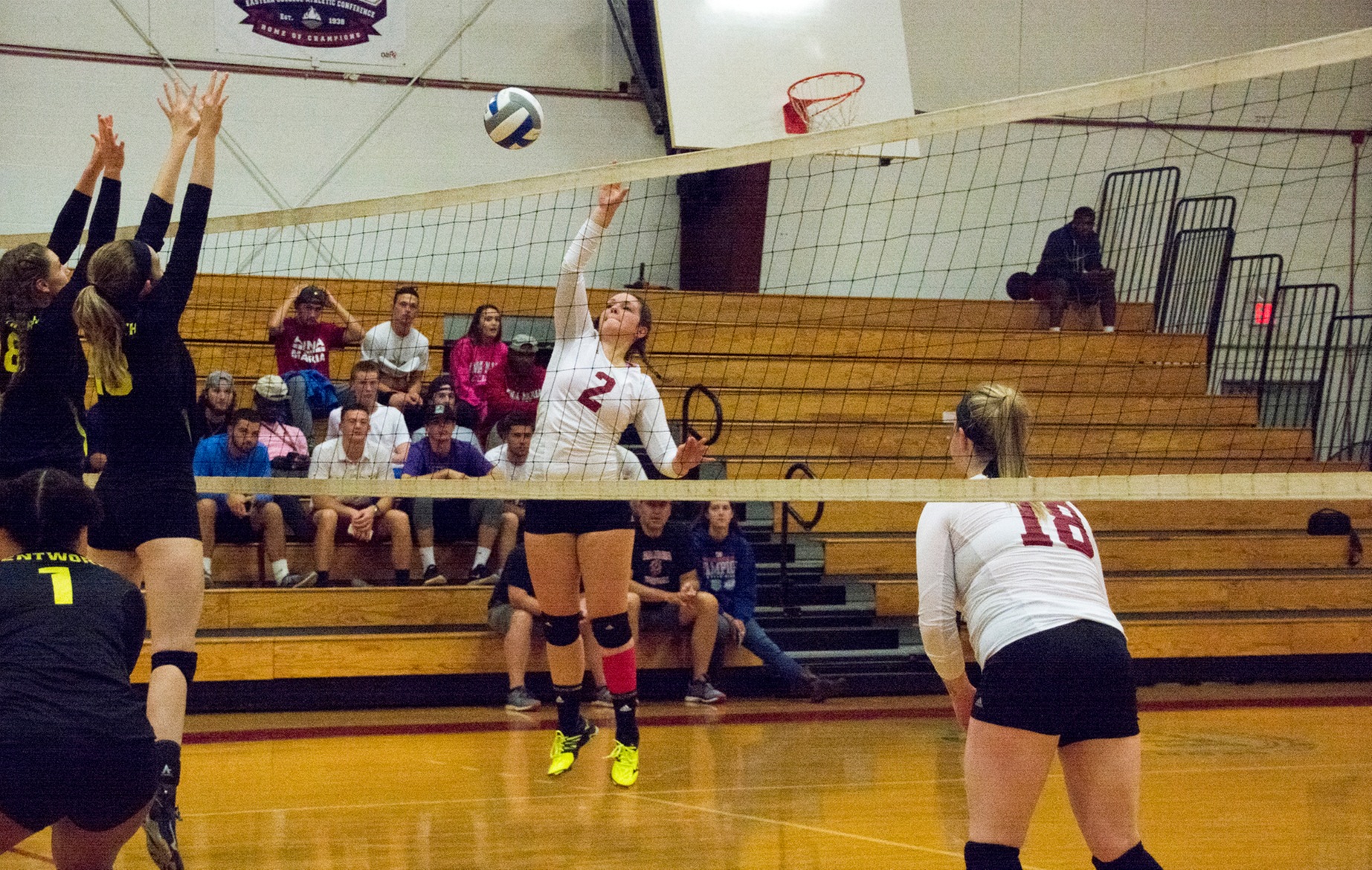 WOMEN&rsquo;S VOLLEYBALL: Clark too strong for Anna Maria