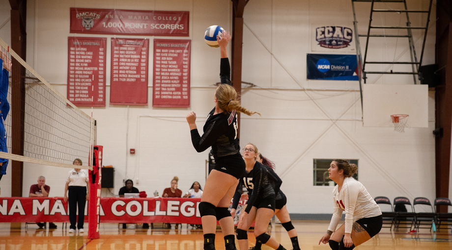 volley