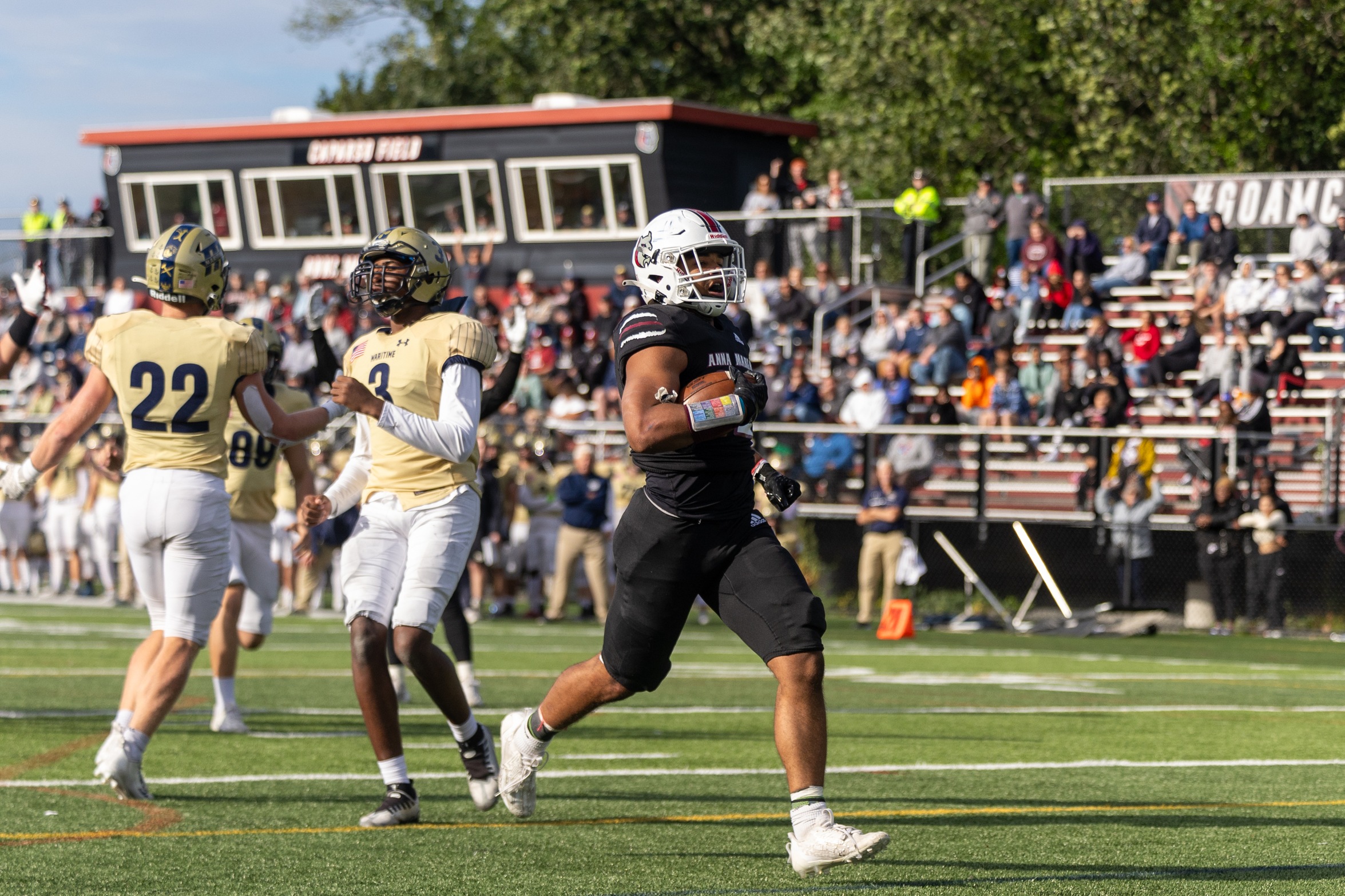 Football Topples Bison 49-14