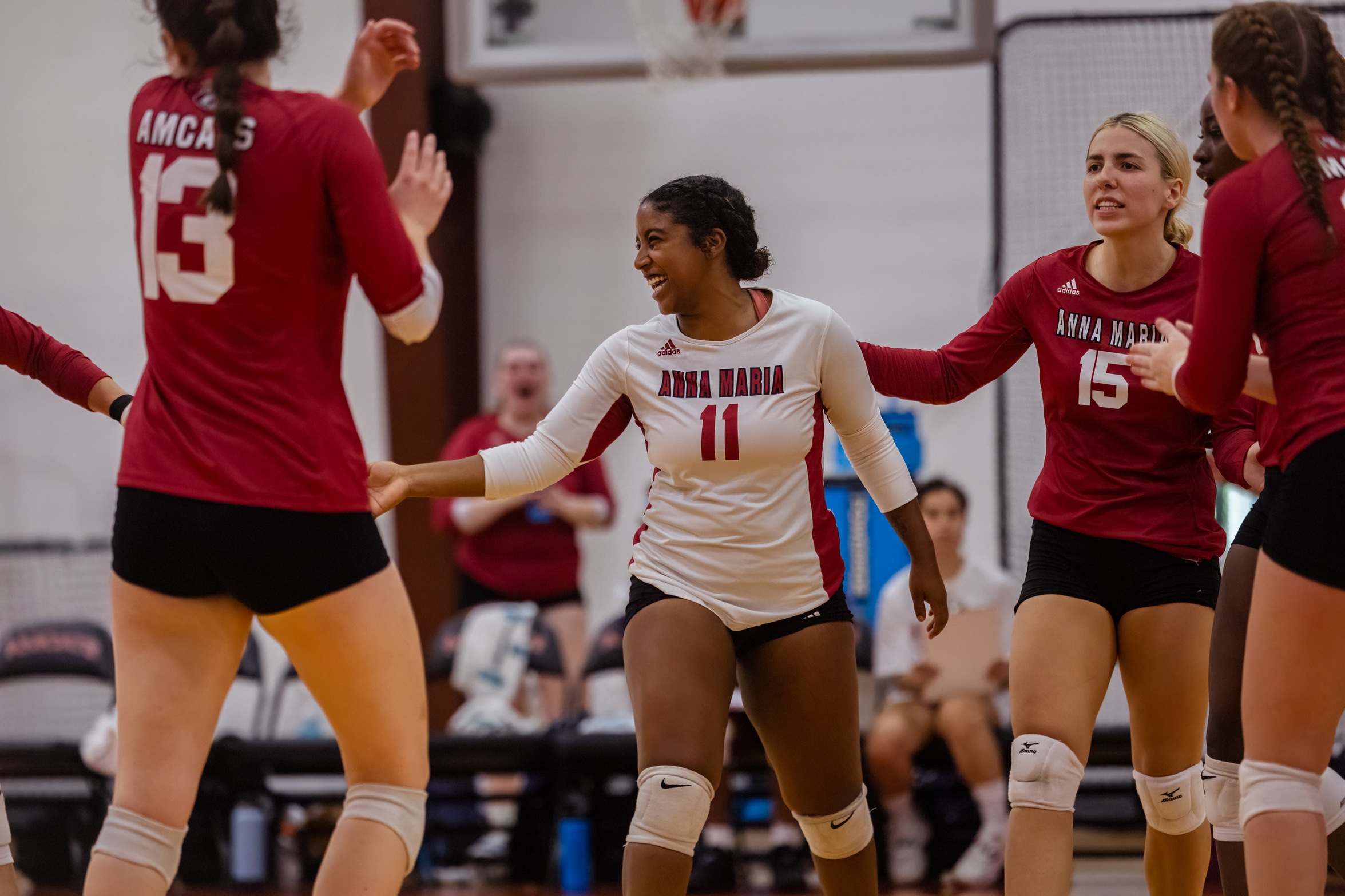 Volleyball beats the Wildcats in 3 straight sets to win their match