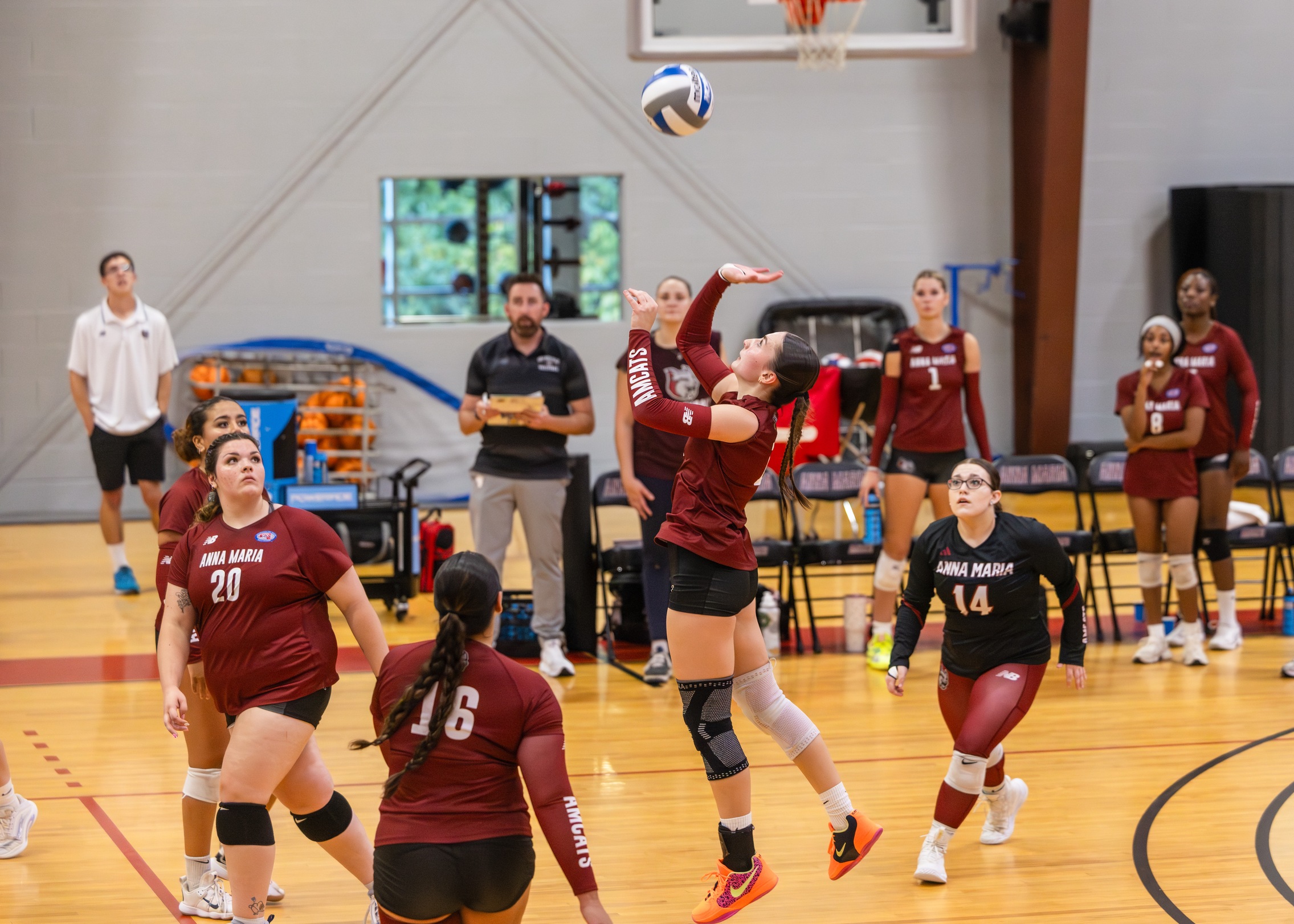VOLLEYBALL FALLS TO PILGRIMS ON THE ROAD
